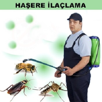 Çardak Böcek İlaçlama